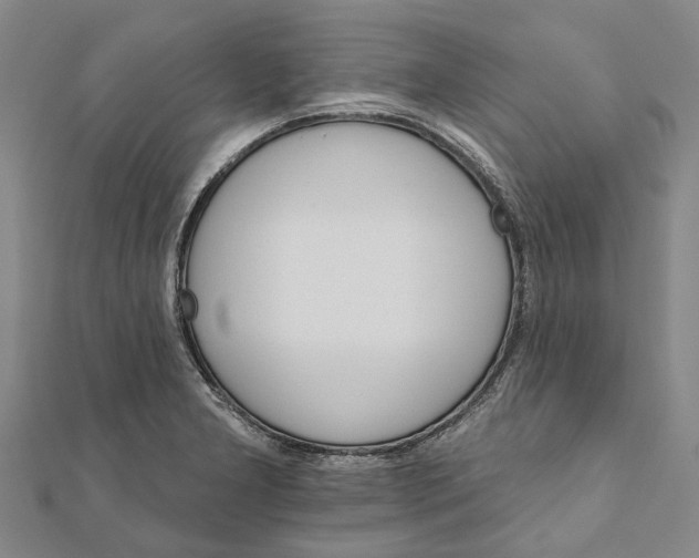 X0000111801277200908201145