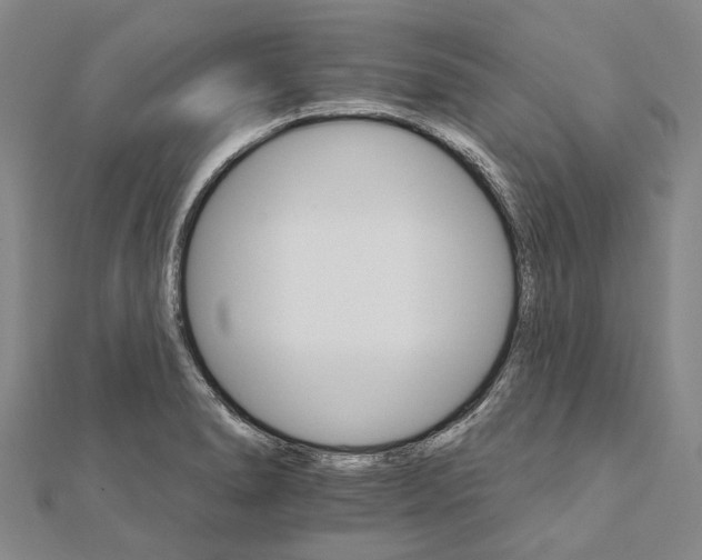 X0000111801278200908201145