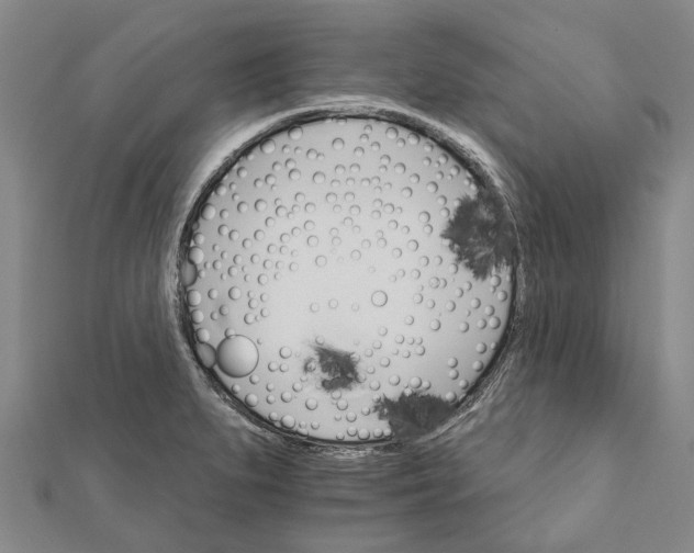 X0000111801279200908201145