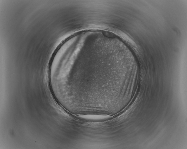 X0000111801280200908201145