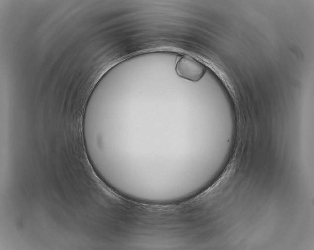 X0000111801281200908201145