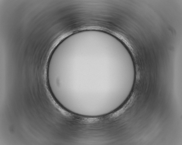 X0000111801282200908201145