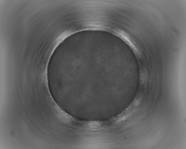 X0000111801283200908201145