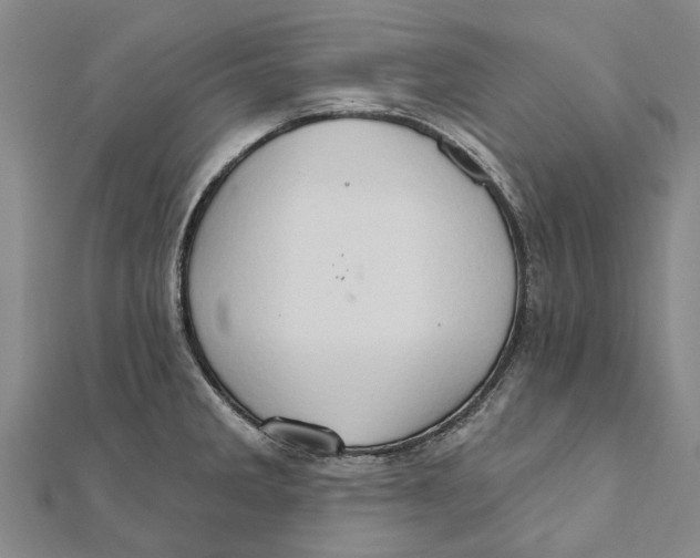 X0000111801285200908201145