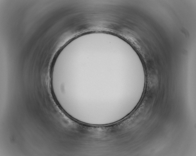 X0000111801286200908201145