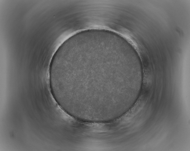 X0000111801287200908201145