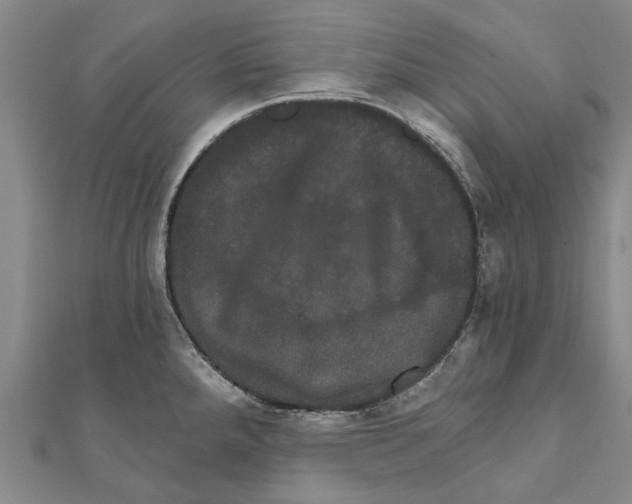 X0000111801288200908201145