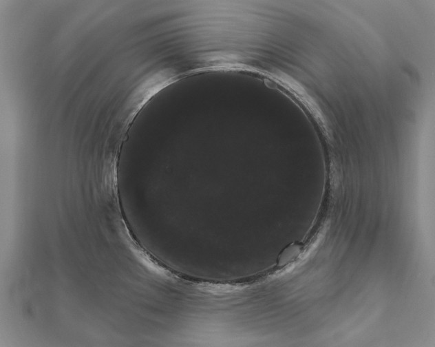X0000111801289200908201145