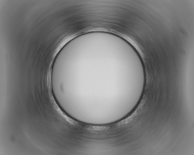 X0000111801290200908201145
