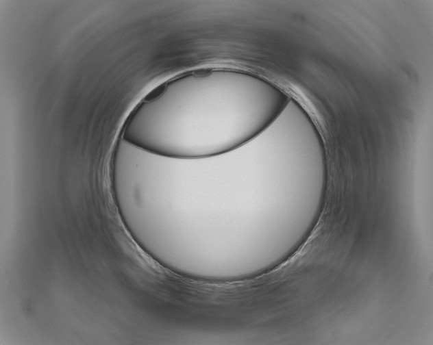 X0000111801292200908201145