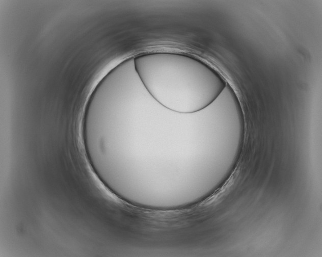 X0000111801293200908201145