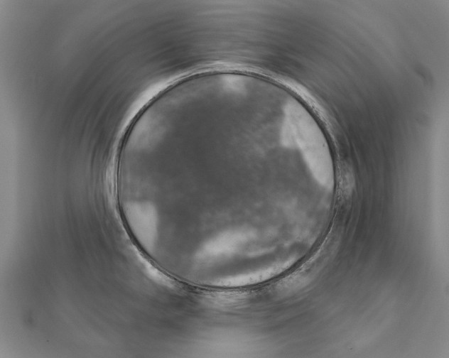 X0000111801294200908201145