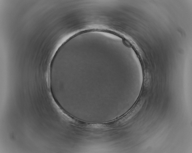 X0000111801295200908201145