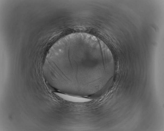 X0000111801297200908201144