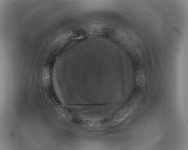X0000111801298200908201144