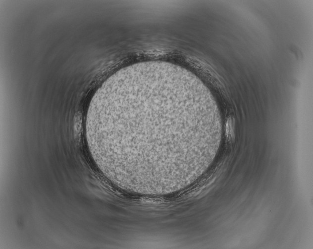 X0000111801299200908201144
