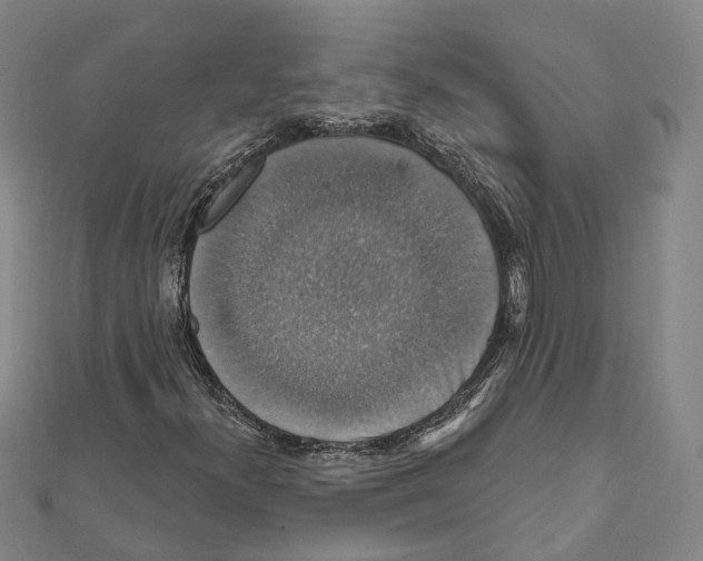 X0000111801300200908201144