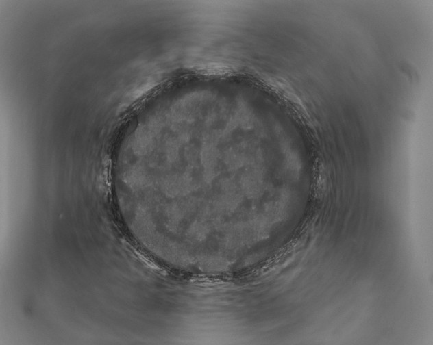 X0000111801301200908201144