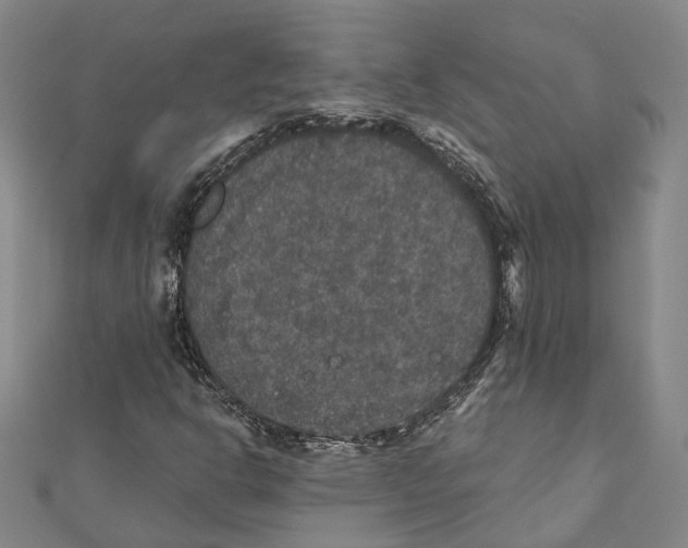 X0000111801302200908201144