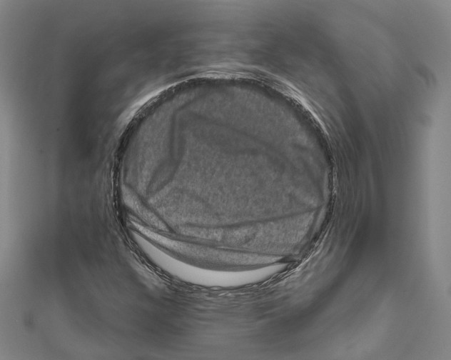 X0000111801304200908201144
