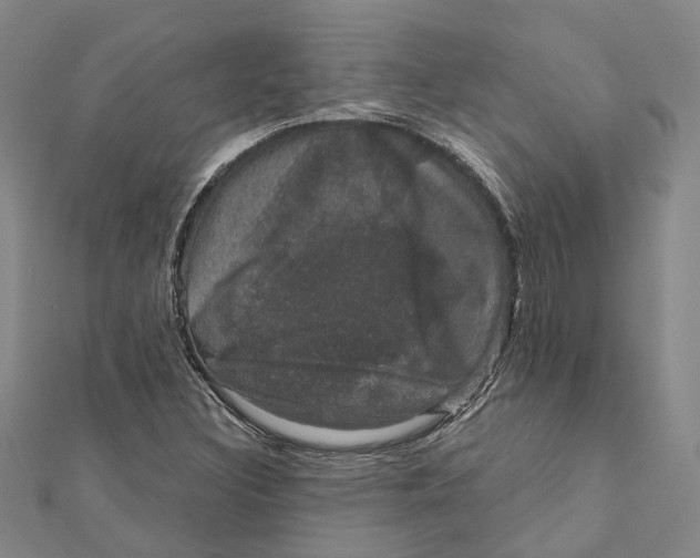X0000111801308200908201144