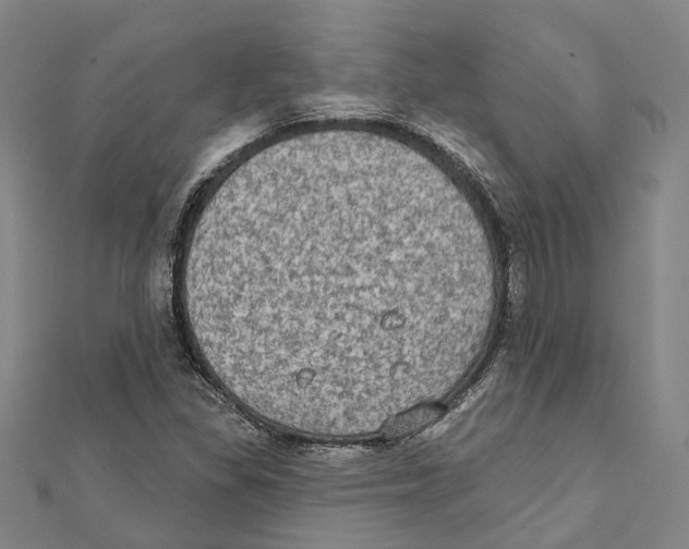 X0000111801309200908201144