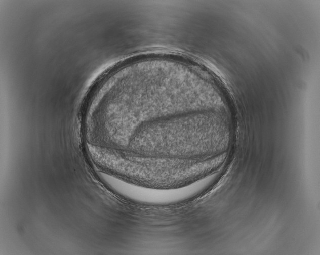 X0000111801310200908201144