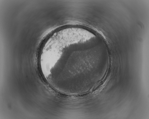 X0000111801311200908201144