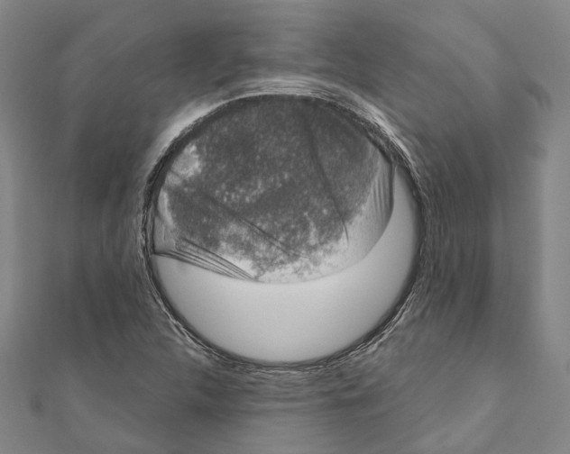 X0000111801312200908201144