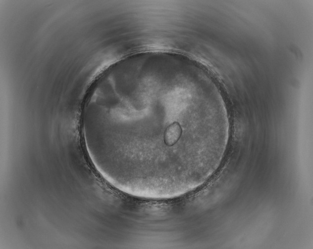 X0000111801314200908201144
