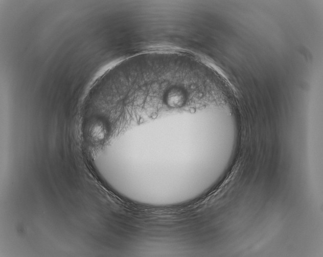 X0000111801315200908201144