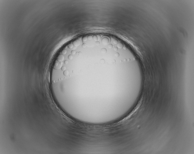 X0000111801317200908201144