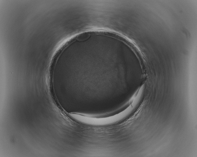 X0000111801319200908201144