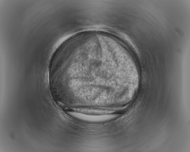 X0000111801320200908201144