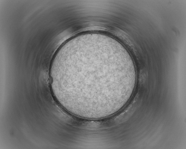 X0000111801321200908201144