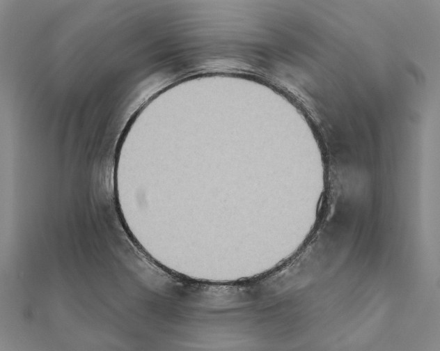 X0000111801322200908201144