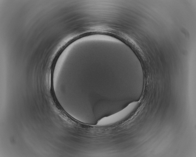 X0000111801323200908201144