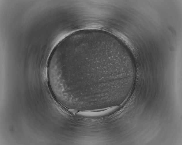 X0000111801324200908201144