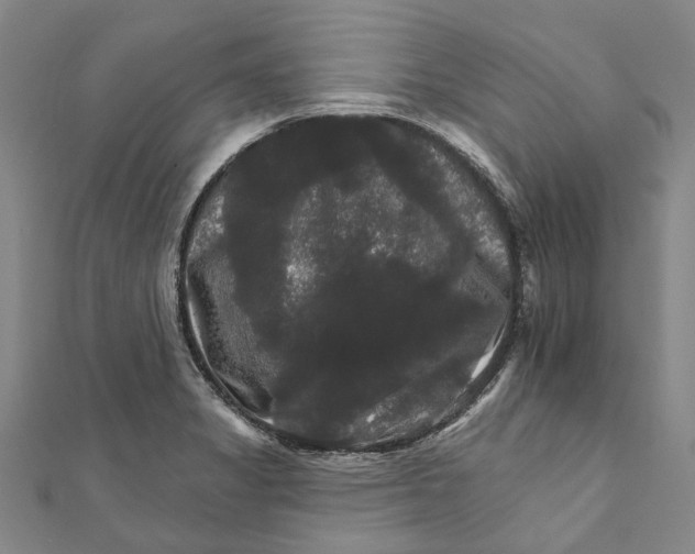 X0000111801325200908201144