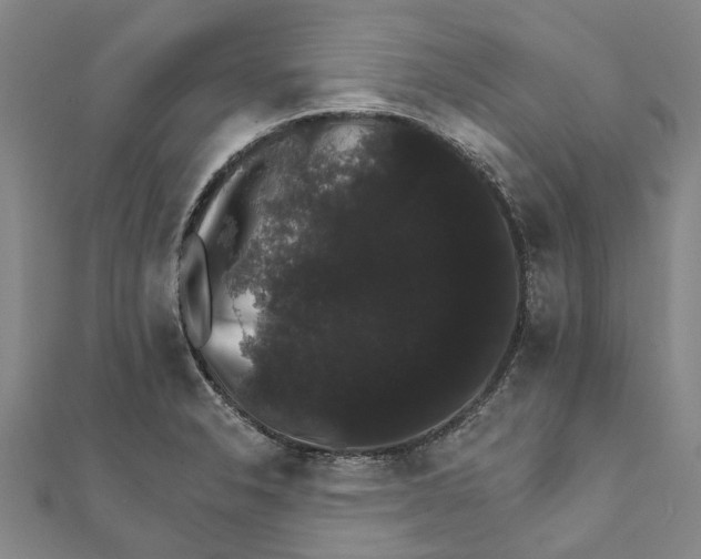 X0000111801326200908201144