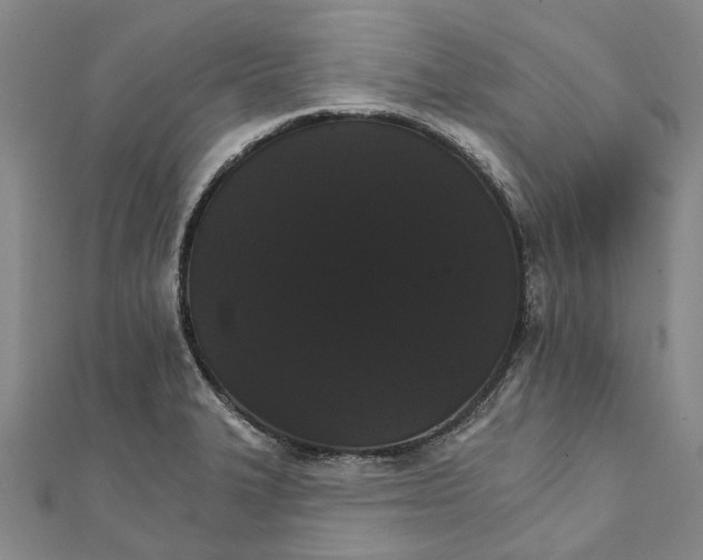 X0000111801327200908201145