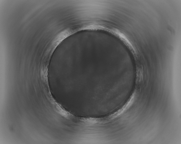 X0000111801329200908201145