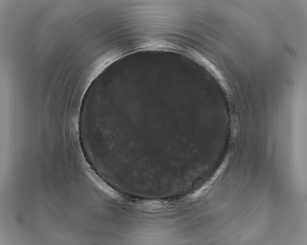 X0000111801330200908201145