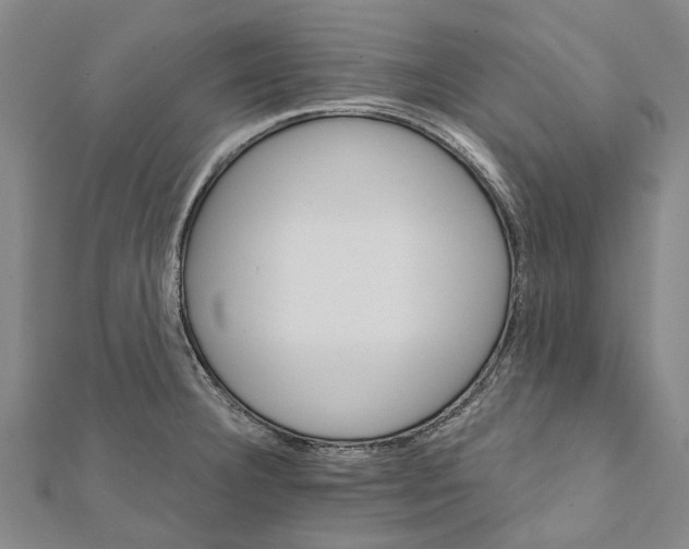 X0000111801332200908201145