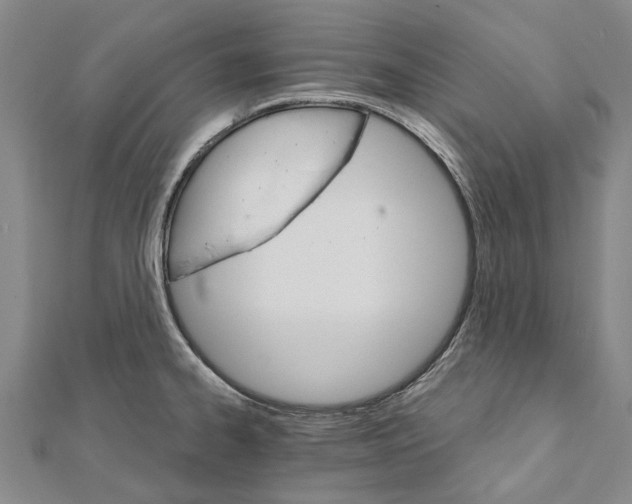 X0000111801334200908201145