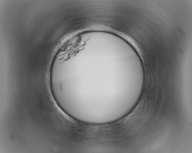 X0000111801335200908201145