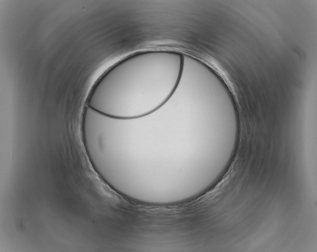 X0000111801336200908201145