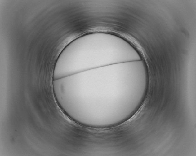 X0000111801337200908201145