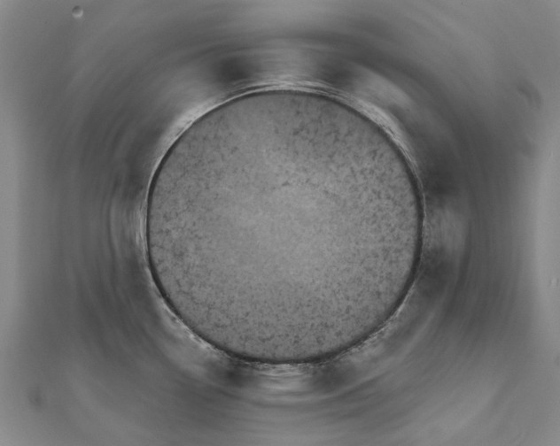 X0000111801338200908201145