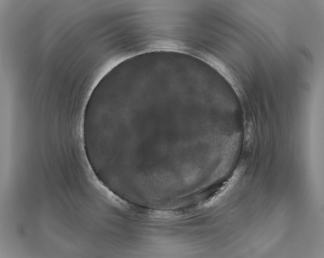 X0000111801339200908201145